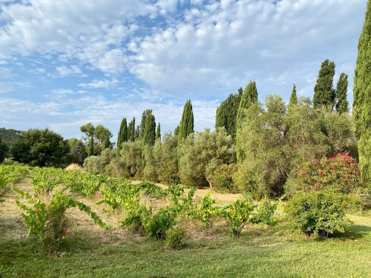 생시르쉬르메르 Bastide De Gueissard B&B 외부 사진